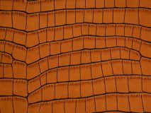 Etier Zegato Ten Watch Case Tan Crocodile Leather