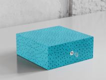 Etier Vigo Four Watch Case Aqua Ostrich Leather