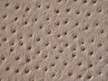 Etier Vigo Four Watch Case Light Cappuccino Ostrich Leather