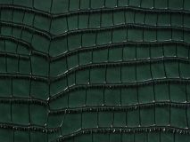 Etier Zegato Ten Watch Case Green Crocodile Leather