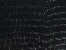 Etier Zegato Ten Watch Case Black Crocodile Leather