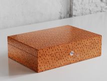 Etier Watch Rolls & Case Tan Ostrich Leather Set