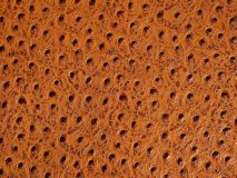 Etier Vigo Four Watch Case Tan Ostrich Leather