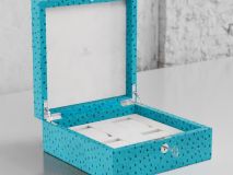 Etier Vigo Four Watch Case Aqua Ostrich Leather