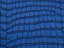 Etier Zegato Ten Watch Case Blue Crocodile Leather