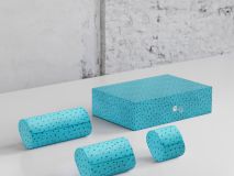 Etier Watch Rolls & Case Aqua Ostrich Leather Set