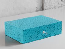 Etier Struzzo Ten Watch Case Aqua Ostrich Leather