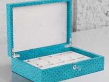 Etier Struzzo Ten Watch Case Aqua Ostrich Leather