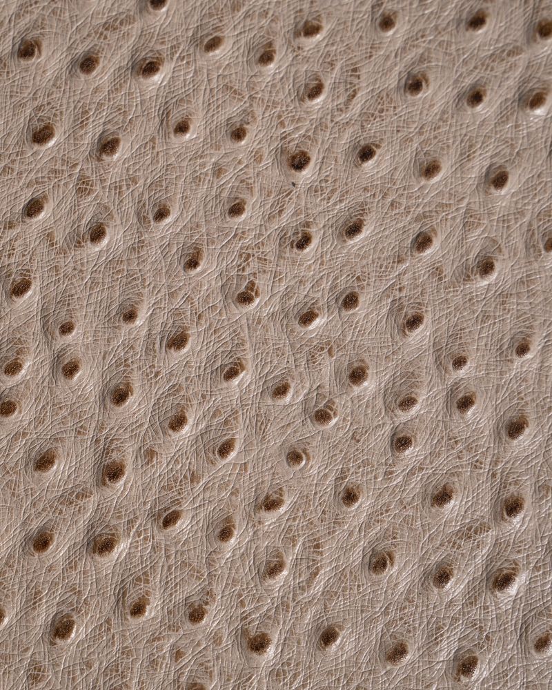 Etier Vigo Four Watch Case Light Cappuccino Ostrich Leather