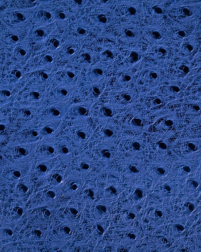 Etier Gusto Single Watch Roll Blue Ostrich Leather