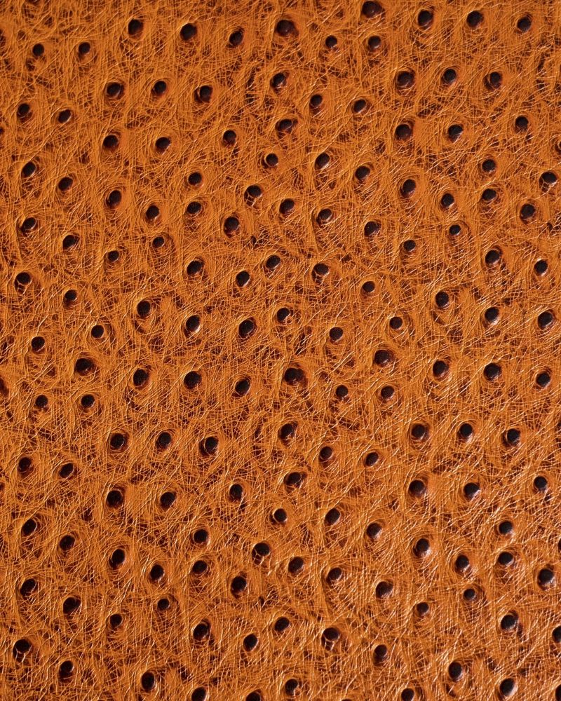 Etier Vigo Four Watch Case Tan Ostrich Leather