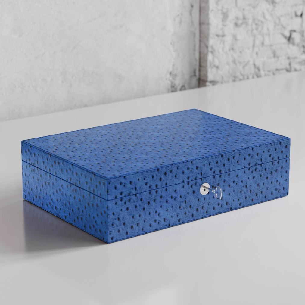 Etier Struzzo Ten Watch Case Blue Ostrich Leather