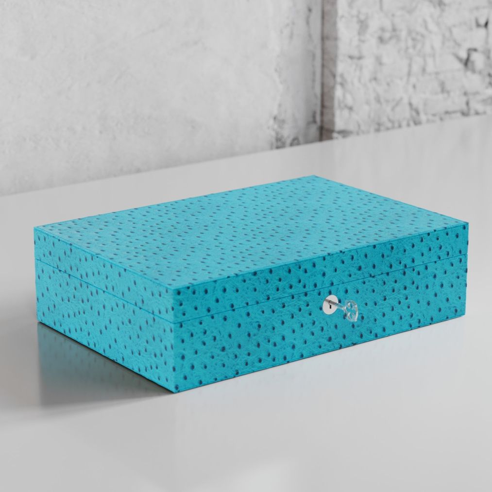 Etier Struzzo Ten Watch Case Aqua Ostrich Leather