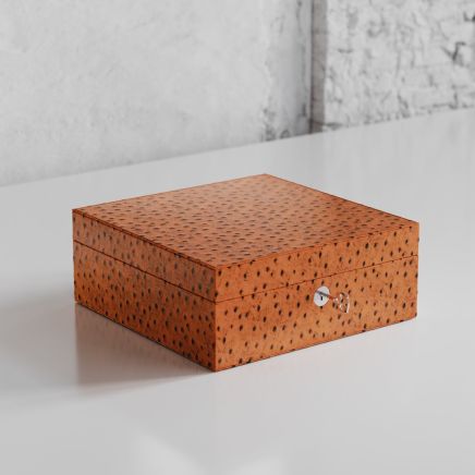 Etier Vigo Four Watch Case Tan Ostrich Leather