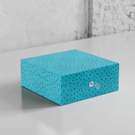 Etier Vigo Four Watch Case Aqua Ostrich Leather