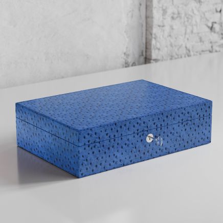 Etier Struzzo Ten Watch Case Blue Ostrich Leather