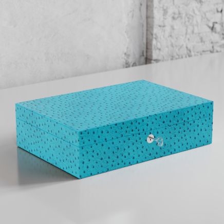 Etier Struzzo Ten Watch Case Aqua Ostrich Leather