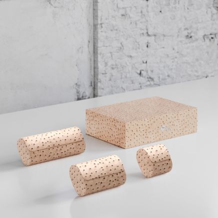 Etier Watch Rolls & Case Light Cappuccino Ostrich Leather Set