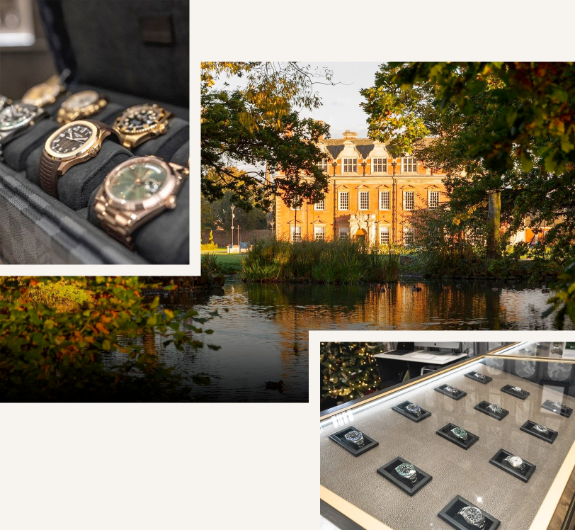 Luxury Watches Display